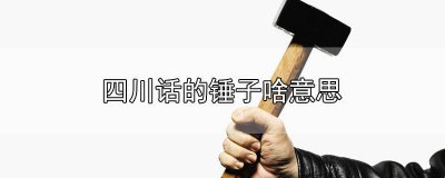 ​四川话的锤子啥意思 四川话的锤子是啥子意思?