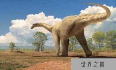​苏莱曼龙：亚洲超巨型恐龙，体长25米（巨型食草恐龙）