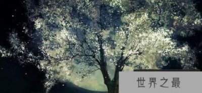 ​中国神话中的十棵神树把桑树和人们联系在一起